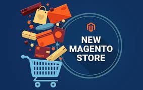 New Magento Store